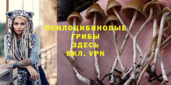 ECSTASY Медвежьегорск