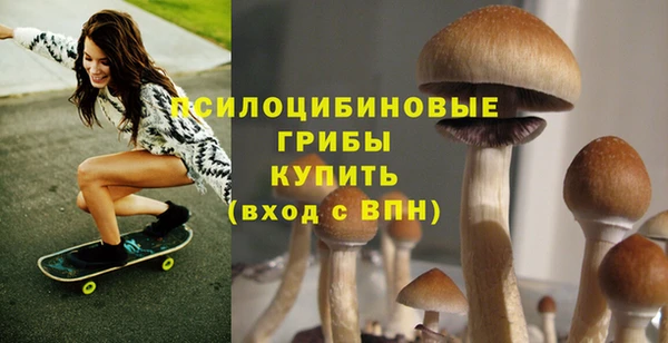 ECSTASY Медвежьегорск