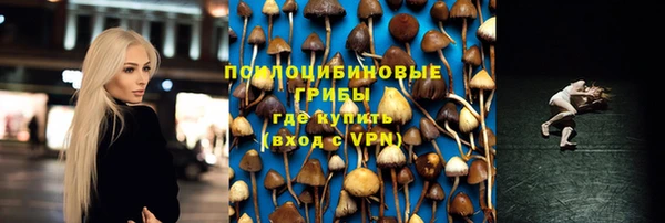 прущая мука Медногорск