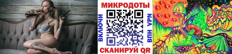 ссылка на мегу вход Яровое Псилоцибиновые грибы мицелий